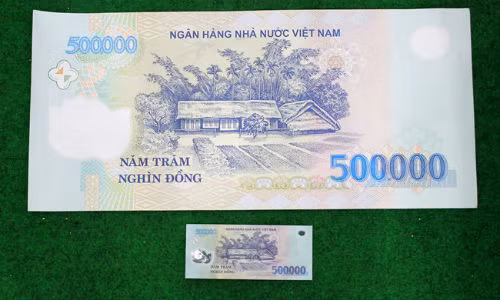 Tờ tiền chế bản có kích thước 25x55 cm, lớn gấp nhiều lần tờ nguyên bản. Ảnh: Zen Nguyễn.