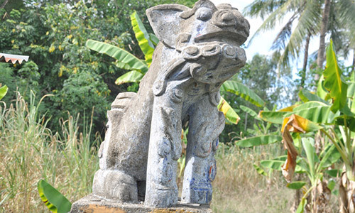 Ky bi chuyen cop bach duoc ca lang tho phung o Phu Yen