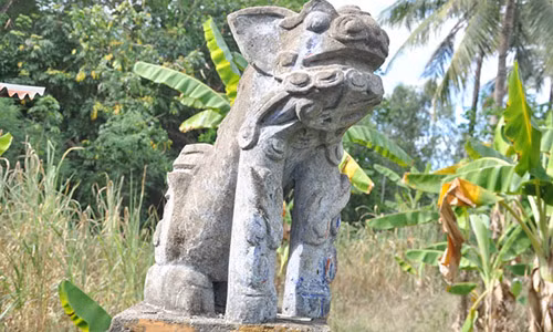 Ky bi chuyen cop bach duoc ca lang tho phung o Phu Yen