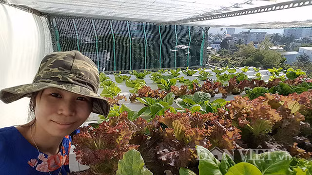 Dù mới trồng rau được hơn một năm nhưng anh Quốc Bảo không những chưa bao giờ cảm thấy hối hận khi đã chọn mô hình trồng rau vừa thông minh, vừa tiện ích này mà anh còn muốn giới thiệu nhân rộng mô hình trồng rau sạch thông minh này với nhiều nông dân phố hơn.