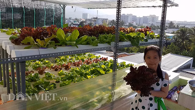 Khu vườn là nơi vui chơi, giải trí của các thành viên trong gia đình anh vào cuối mỗi tuần.