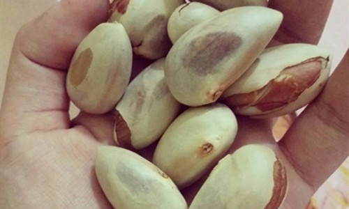 Hạt mít giúp ngăn ngừa lão hóa hiệu quả.