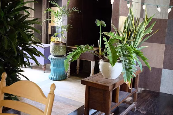 3. Maison de Tau - Hội An Maison de Tau là một không gian mang đậm chất Vintage thích hợp cho những tín đồ hoài cổ. Từ những khung của, kệ giá kê đồ đến bàn ghế đều mang đậm màu thời gian. Không gian của Maison de Tau được bao phủ ngập tràn bởi cây cối xanh mát. Cái tên Maison de Tau cũng vô cùng đặc biệt. Theo tiếng Pháp dịch ra, nó có nghĩa là Nhà Tau. Đến đây bạn sẽ được tận hưởng những phòng ở với không gian rộng thoải m cho cả gia đình, có bồn tắm để bạn thư thái ngâm mình và đặc biệt là giá cả ở đây vô cùng rẻ.