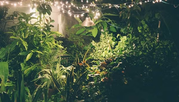 Cây cối mọc ở khắp nơi. Maison de Tau là một không gian gần gũi thiên nhiên để du khách thoải mái tận hưởng không khí trong lành. (Ảnh: FB Maison de Tau)