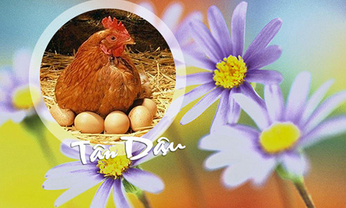 Gia chủ Tân Dậu 1981 nên mời người xông nhà đầu năm 2017 như tuổi Kỷ Sửu, Giáp Thìn, Mậu Thìn... Ảnh: Internet.