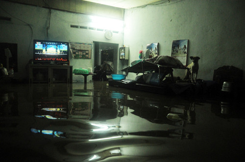 Chiếc giường là nơi không ngập được người dân làm nơi ăn uống, ngủ nghỉ và cũng là nơi cho những chú chó đứng tránh nước.