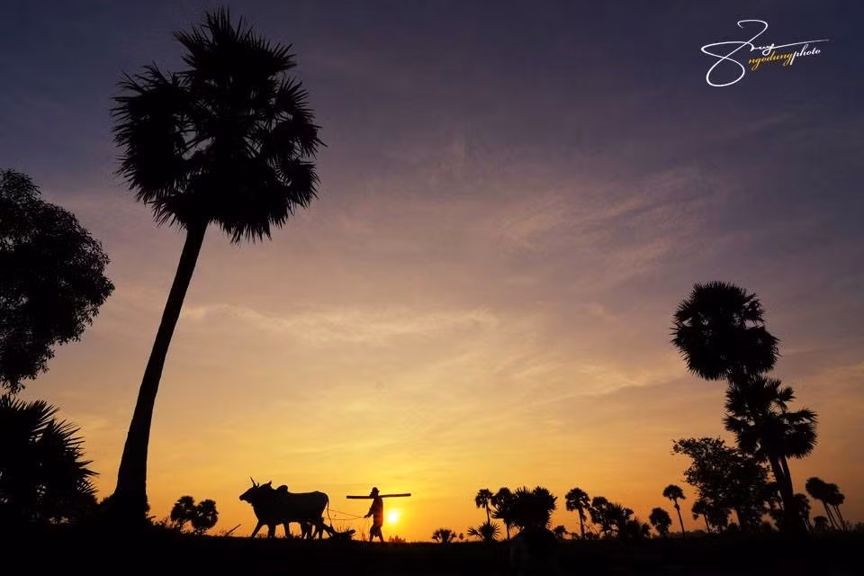 Cuộc sống của người dân nơi đây gắn liền với những cánh đồng thốt nốt trải dài. Những sản phẩm từ loài cây này được xem như đặc trưng của xứ An Giang.