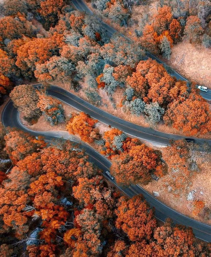 Khuất sau những rặng cây là con đường dẫn về mái nhà hạnh phúc. Đời người dù có đi nhiều nơi, đi xa đến đâu rồi cũng cần một chốn để dừng chân.