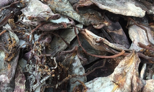 Bat giu xe cho 21 tan muc hoi thoi tren duong ra bac