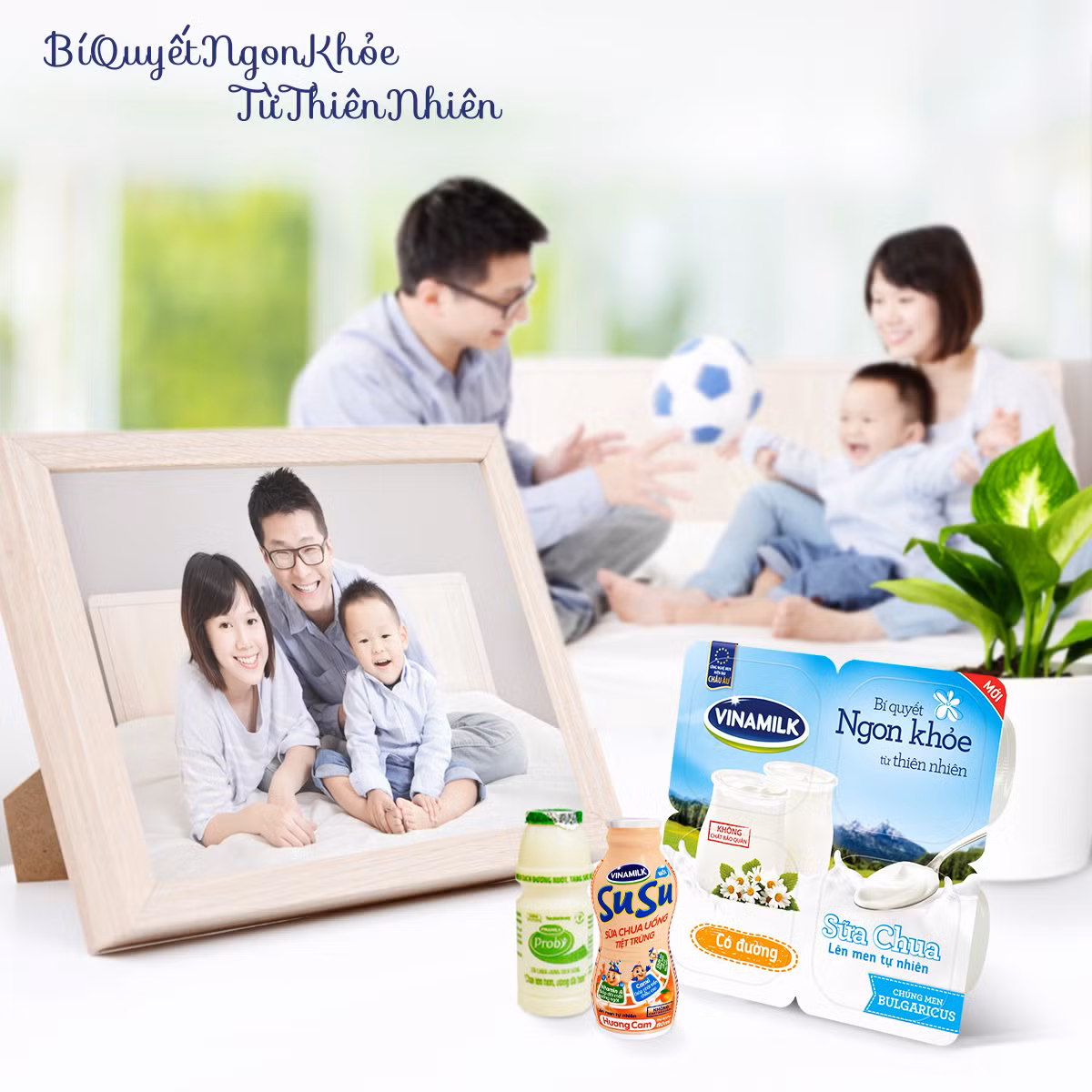 Sau 23 năm đầu tư hệ thống sản xuất sữa chua công nghiệp chuyên nghiệp, hiện nay dây chuyền sản xuất Vinamilk đang cung cấp đến 6,5 triệu hũ sữa chua mỗi ngày cho người tiêu dùng Việt Nam.