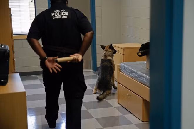 Trung úy John Kerwick, người giám sát hoạt động huấn luyện chó trong trung tâm, nói rằng vai trò của trung tâm ngày càng lớn do số lượng mối đe dọa hàng ngày tăng dần.