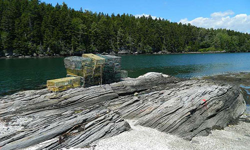 Rung ron truoc bi mat khung khiep tren “dao ma” tai My