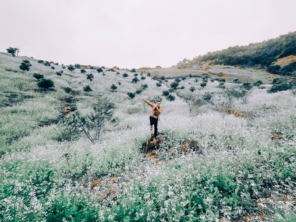 Nhưng quả thật đối với chúng tôi, từng mảnh đất, quả đồi của cao nguyên mộng mơ này đều quá đẹp. Trên suốt dọc đường đi chúng tôi cứ ngỡ như mình đang lạc vào cõi tiên.