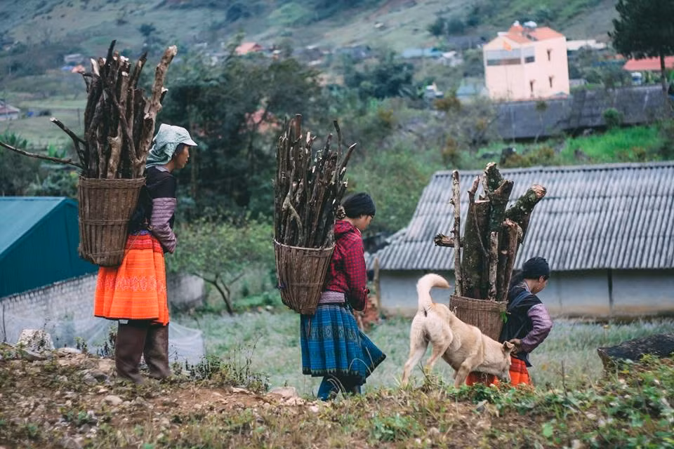 Lên Mộc Châu, ngoài cảnh đẹp, bạn còn có thể khám phá cuộc sống của những người dân tộc H'mong, Thái...