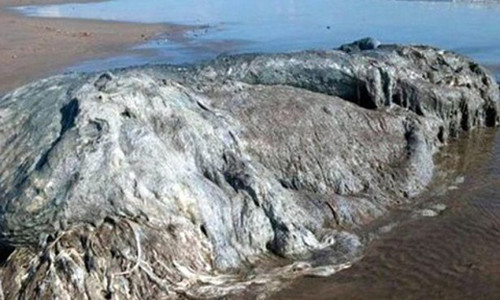 Quai thu khong lo dat bo lien tuc, phai chang da tan the?