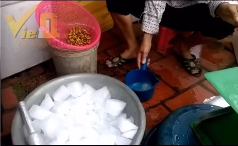 Những con nhộng tằm được các tiểu thương ngâm tâm hóa chất tẩy trắng.