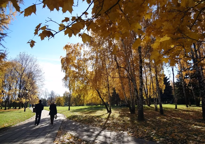 Mát- xcơ-va, Nga: Nếu có cơ hội đến đây, bạn hãy thử ghé thăm Kolomenskoye để ngắm nhìn những cung điện bạc màu, những mái vòm xanh hài hòa với những cánh rừng và những hàng cây táo thẳng tắp.