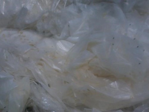 Hiem hoa khon luong tu tui nilon hop xop dung thuc an-Hinh-2