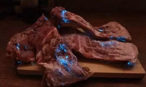 Kinh hoang suon heo moi mua phat sang trong bong toi