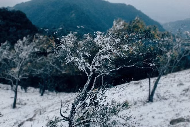 Giữa bốn bề mây núi trùng điệp, du khách hoà mình với tuyết trắng và không khỏi trầm trồ, thích thú ngắm nhìn Mẫu Sơn khoác trên mình tấm áo sương giá.