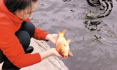 Cung ong Tao: Chi duoc don bep, bat huong sau khi cung?-Hinh-2