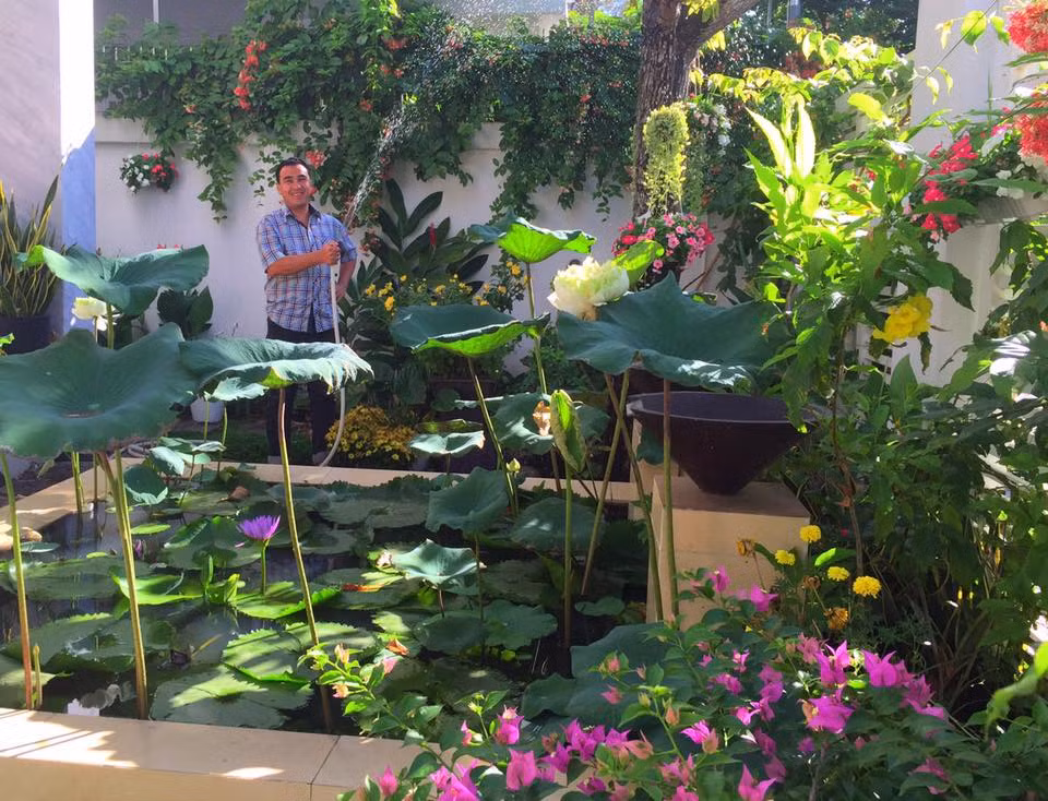 Điểm đặc biệt nhất của căn nhà là nguồn ánh sáng tự nhiên cũng như không khí trong lành lùa vào từng căn phòng.