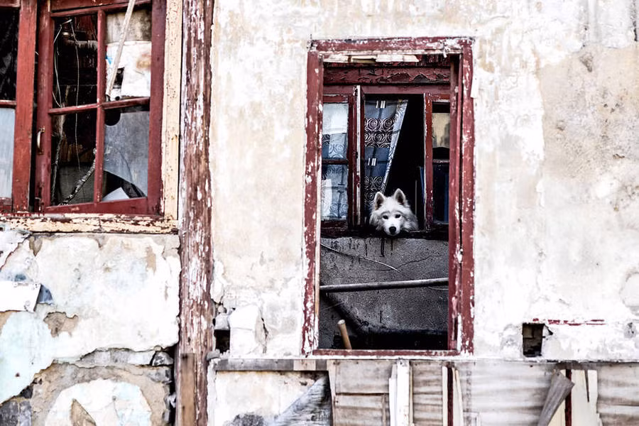 Dự án hướng đến lột tả không khí thay đổi hữu hình tại thành phố siêu đô thị Thượng Hải của đất nước đông dân nhất thế giới – Trung Quốc.