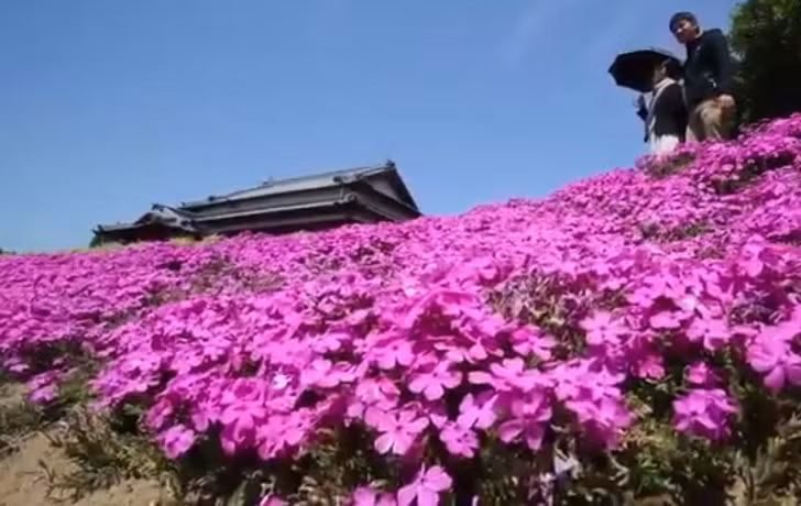 Ông bà Kuroki kết hôn vào năm 1956 tại một thị trấn nhỏ, tỉnh Miyazaki. Cuộc sống nông dân vất vả nhưng hai ông bà vẫn luôn hạnh phúc yêu thương nhau bên cạnh hai người con.