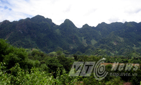 Phía sau dãy Huổi Luông là rừng già.