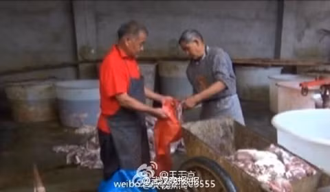 Nơi chế biến mất vệ sinh, bẩn thỉu.