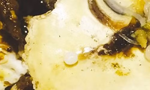 Du tiec nha hang, phat hien ngoc trai khi dang an hau