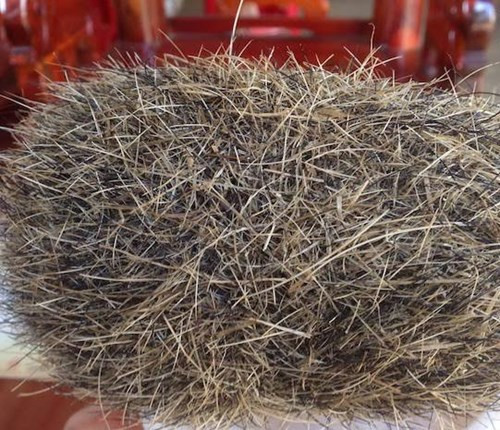 Mo lon nuoi 13 nam phat hien tru cat tien ty o Nghe An-Hinh-2