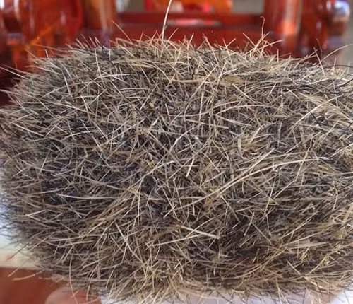 Mo lon nuoi 13 nam phat hien tru cat tien ty o Nghe An-Hinh-2