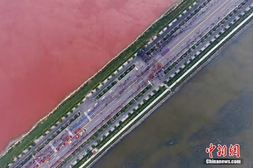 May mắn thay, do hồ muối được ngăn cách bởi 1 tuyến đường bộ nên hiện tượng tảo nở hoa chỉ xảy ra tập trung ở một hồ nhỏ và không lan ra các hồ lân cận.