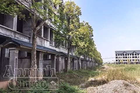 Những căn nhà liền kề nằm hoang phế.