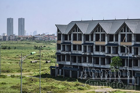 Sau cánh cổng hoàng tráng, đến nay dự án vẫn chỉ là khu đô thị bỏ hoang, cỏ mọc um tùm.