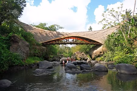 Chính thức đưa vào hoạt động từ năm 2008 với 98 học sinh, tới nay trường đã thu hút gần 500 học sinh. Green School đã nhận được rất nhiều lời khen ngợi về cách tiếp cận sáng tạo trong giáo dục.