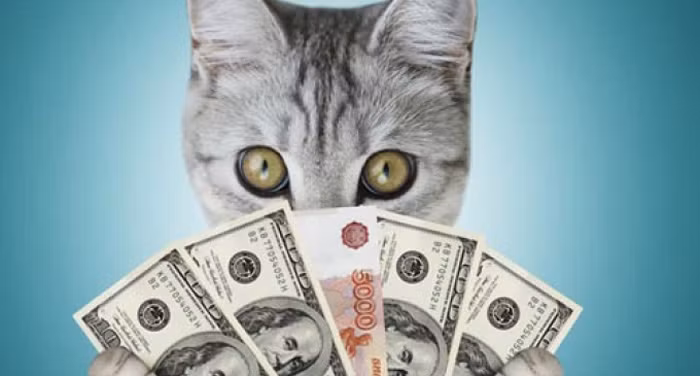 Blackie được sách Kỷ lục Guiness ghi nhận là chú mèo giàu nhất thế giới với tổng tài sản là 25 triệu USD. Con mèo giàu có này được Ben Rea (tỷ phú người Anh) - chủ nhân của nó qua đời và để lại cho số tài sản trị giá 12,5 triệu USD (khoảng 480 tỷ VNĐ).