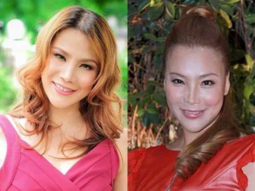 Mặc cho những ý kiến chỉ ra rằng Hồ Quỳnh Hương đang phải chịu hậu quả của phẫu thuật thẩm mỹ khiến cô có diện mạo không khác gì một "tượng sáp" thì khi trả lời phỏng vấn của Một Thế Giới, nữ ca sĩ cho biết: "Hương nghĩ là xấu hay đẹp tùy thuộc vào quan điểm của từng người, riêng Hương thấy rằng trước nay mình vẫn vậy. Không xinh cũng không xấu. Làm thẩm mỹ để đẹp hơn và tự tin hơn chứ không thể có chuyện xấu hơn được. Ai thấy đẹp thì khen đẹp, ai chưa thấy đẹp thì cũng kệ họ thôi.