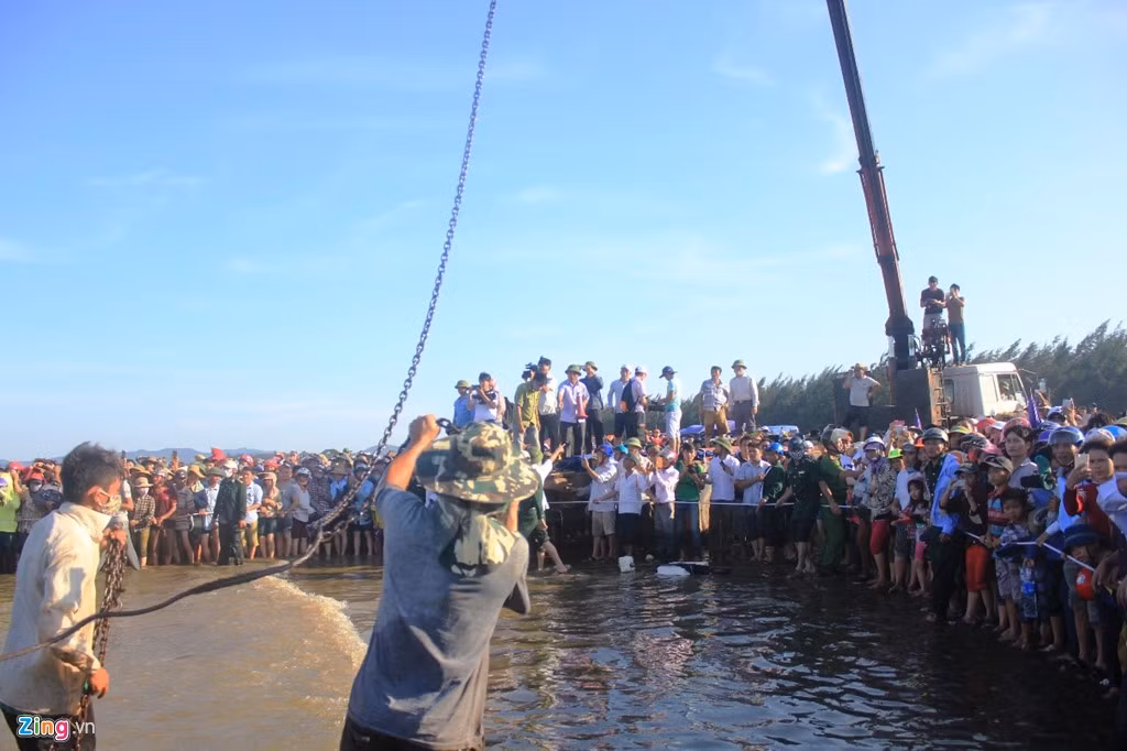 Tuy nhiên, việc trục vớt gặp nhiều khó khăn do sóng lớn, xác cá to và nặng.