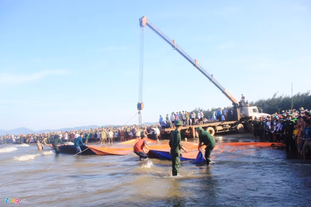 18h, nhà chức trách tiến hành trải bạt để kéo cá vào rồi tìm cách đưa lên bờ.