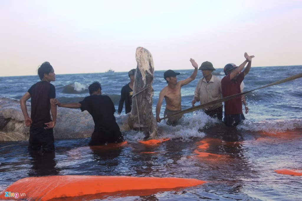 Tuy nhiên, công việc này không thực hiện được. Lực lượng cứu hộ bắt buộc phải dừng để tìm phương án khác.