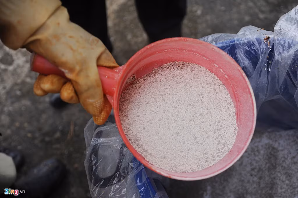 Công nhân Công ty Thoát nước Hà Nội kiểm tra các thiết bị và đổ chế phẩm vào máy sục, chế phẩm này sẽ được hòa tan và sục thẳng xuống lòng hồ. Hiện tại, chế phẩm này đã được thử nghiệm ở 22 hồ, ao của Hà Nội.