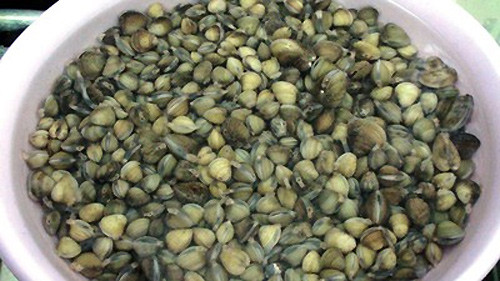  Khi chế biến nên ngâm trai hến vào nước vo gạo hoặc nước lạnh bỏ vài quả ớt cắt nhỏ, hoặc vài giọt giấm gạo trong vài giờ để chúng nhả hết bùn đất.