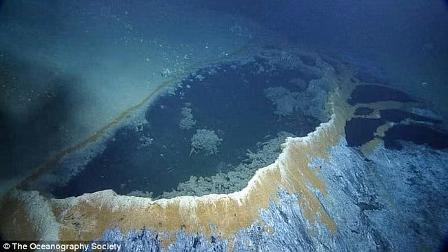 Độ mặn của hố “tử thần” dưới vịnh Mexico gấp 5 lần nước biển khiến tôm, cua, cá không thể hấp thu oxy từ nước và chết ngay tức khắc.