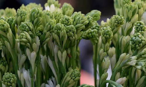 Vi sao cam hoa hue tren ban tho vao dip le Vu Lan