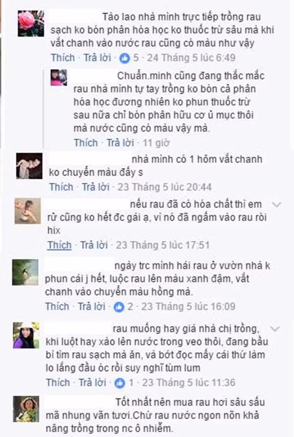 Thuc hu cach nhan biet rau muong tam hoa chat gay sot mang-Hinh-2