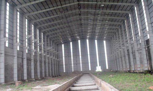 Cỏ dại mọc bên trong nhà xưởng.