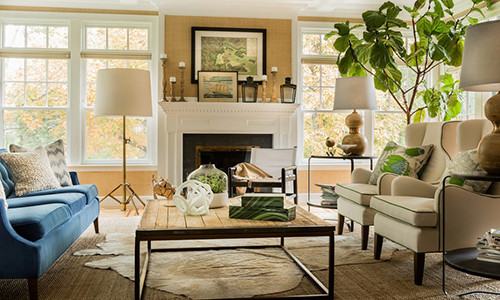 Cây xanh rất thích hợp để cải thiện phong thủy nhà ở.