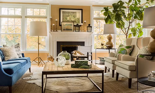 Cây xanh rất thích hợp để cải thiện phong thủy nhà ở.